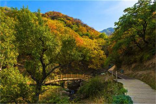 伊犁十大旅游景点：圣佑庙上榜，第七落日最美插图8