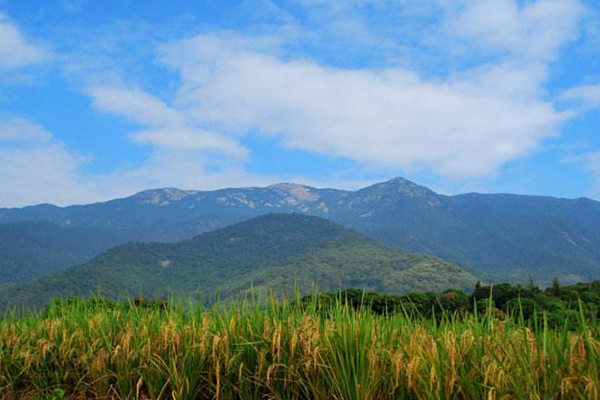 广州爬山十个好去处:广州最高峰天堂顶上榜 第一名尽览广州插图2