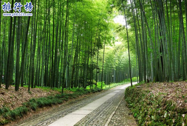 杭州爬山去哪里比较好？杭州十大爬山路线攻略插图6