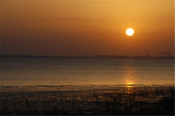 上海10个超有趣的地方 好玩到爆，你都去过吗插图2