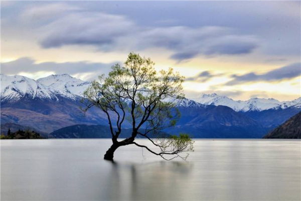 新西兰最迷人的小镇排名 皮克顿与拉塞尔上榜插图3