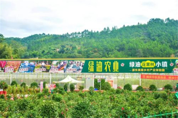 河源十大风景名胜排名：佗城上榜，第7华南第一湖泊插图2