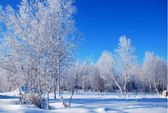 中国看雪最好的十个地方 雪乡排名第五,第一可以欣赏冰雕艺术插图6