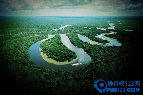 世界上最古老的十大原始森林排行榜插图8