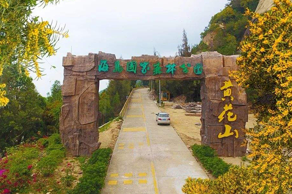 天津十大爬山好去处:九龙山上榜 第一名风光秀丽人文气息浓厚插图6