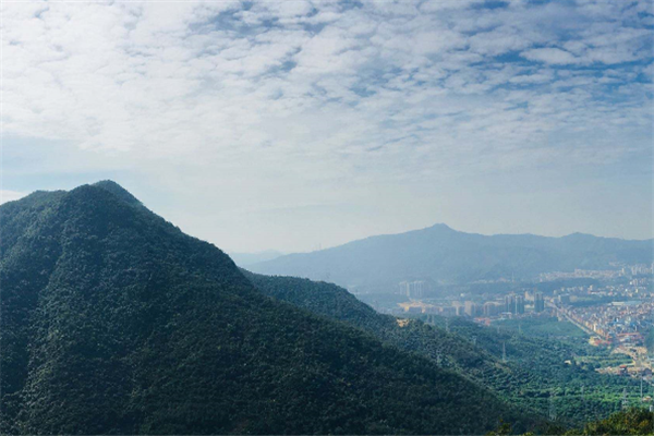 东莞十大最贵景点：梦幻百花洲上榜，第二可以看到熊猫插图8