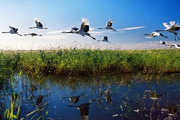 黑龙江十大仙境：各个人少又美，第一可看银河赏极光插图4