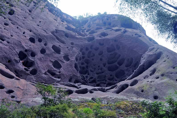 福建十大冬季旅游好去处：武夷山上榜，它的梅花最盛插图5