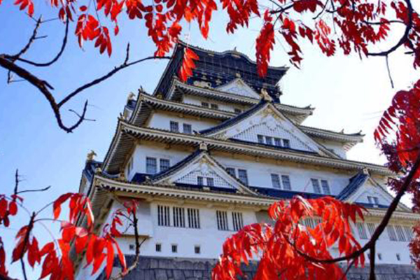 大阪十大必去景点:去日本除了赏樱这些地方也一定不能错过插图5
