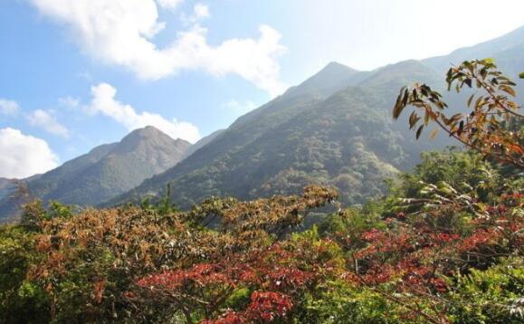 茂名好玩的地方排行榜 茂名十大最好玩的地方推荐插图8