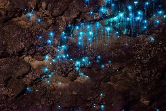 新西兰北岛十大必游景点,罗托鲁瓦上榜,三处被好莱坞电影取景插图5