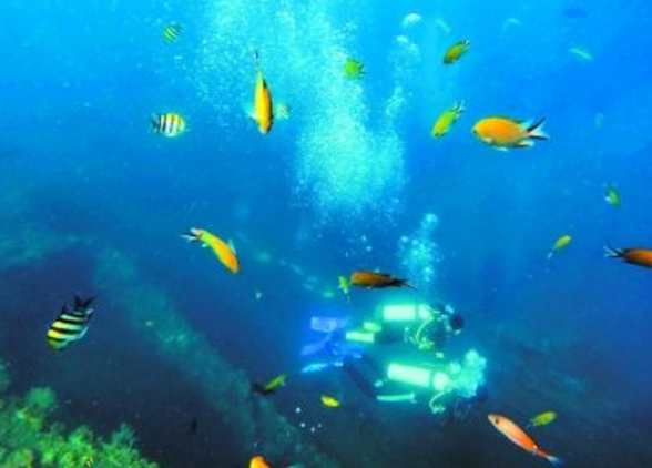 东南亚十大潜水圣地 风景绝美令人无法抗拒插图5