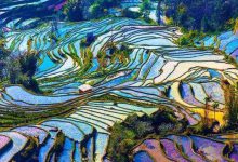 亚洲十大最美梯田:元阳梯田排第五，第一名在我国贵州境内|爱分享