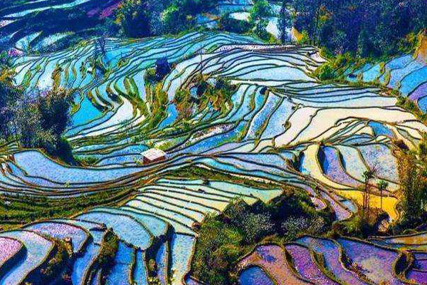 亚洲十大最美梯田:元阳梯田排第五，第一名在我国贵州境内插图9