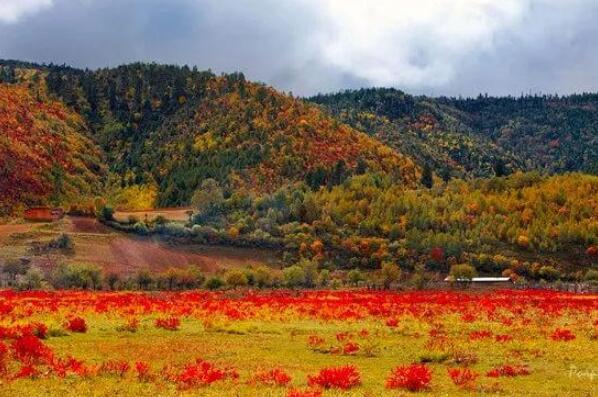 中国十大赏秋胜地 稻城亚丁上榜，第一堪称“人间仙境”插图7