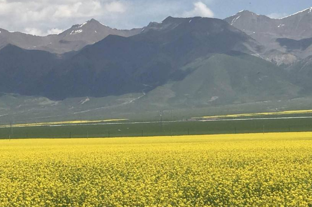 中国十大避暑之都：丽江上榜，它的历史最悠久插图4