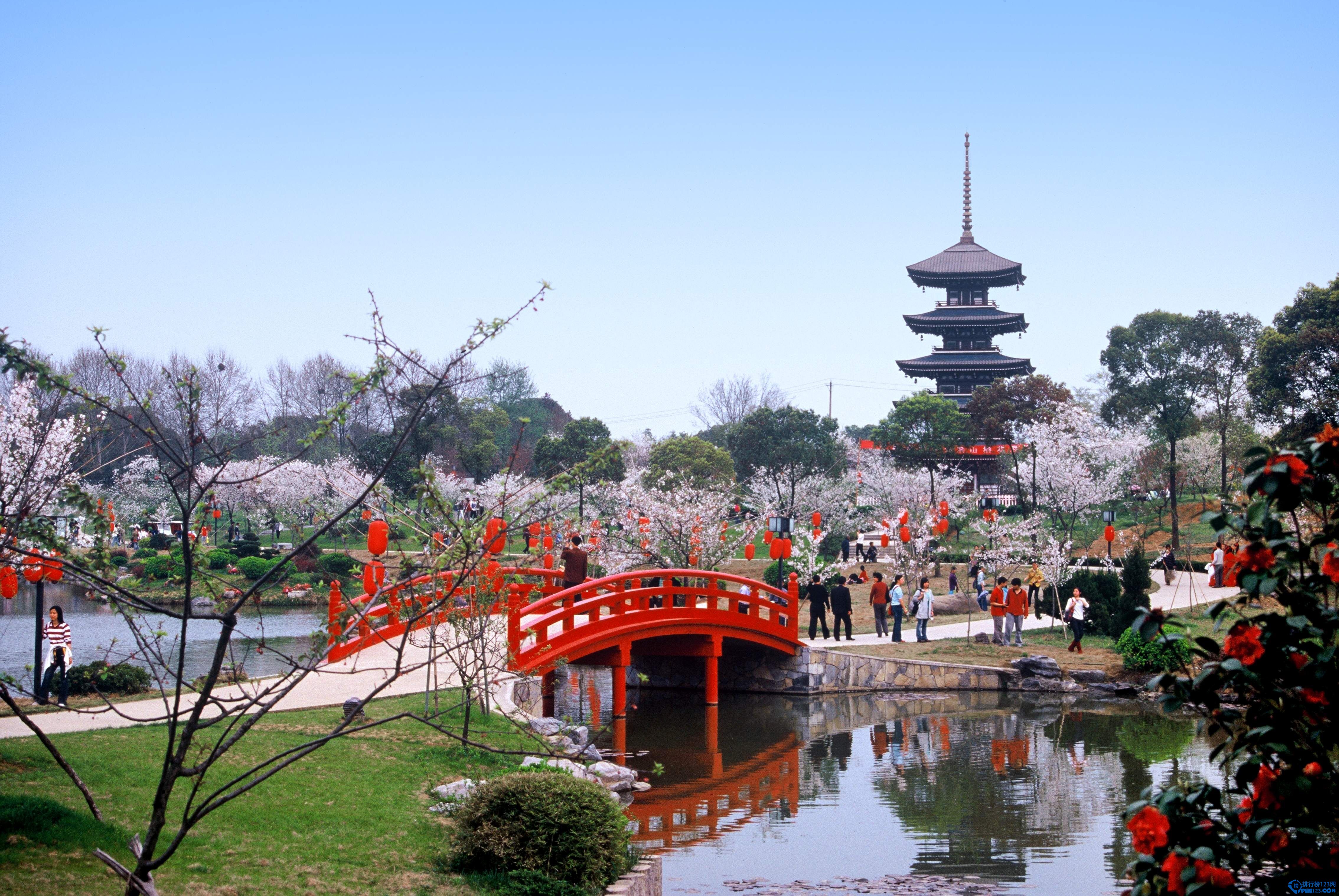 中国的十大赏樱胜地 看樱花不必去日本插图8