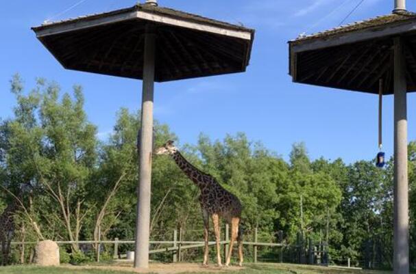 世界十个最大动物园 北京动物园第四，第一在德国插图2