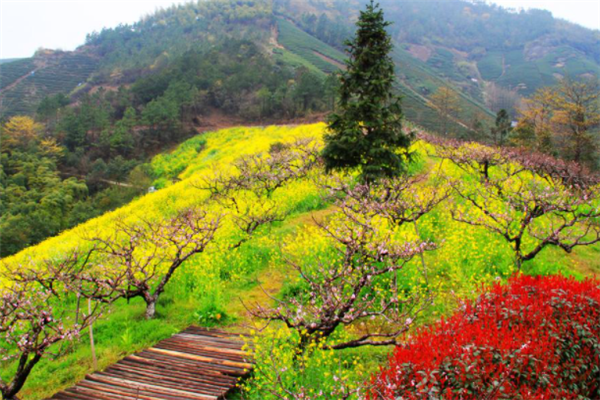 湖州十大最好玩的地方：三九坞上榜，第三有千年历史插图9