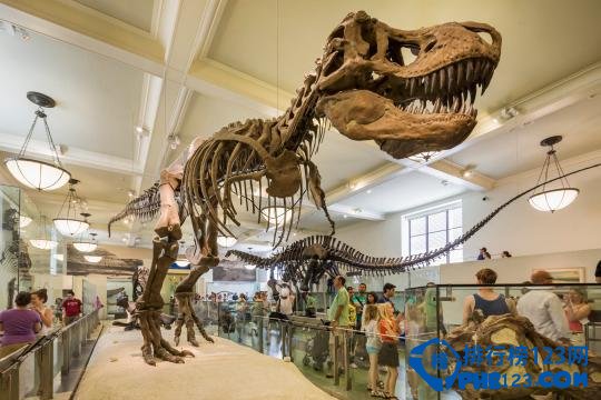 十大现实中的侏罗纪公园排行榜插图2