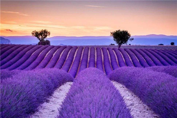 全球最美景点排行榜 九寨沟带有魔幻色彩很是美丽插图3