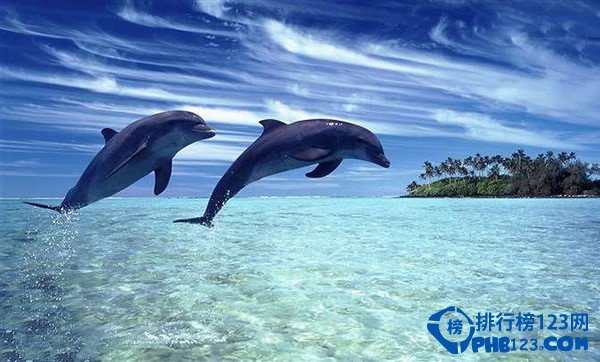 盘点马尔代夫旅游十大浪漫玩法插图3