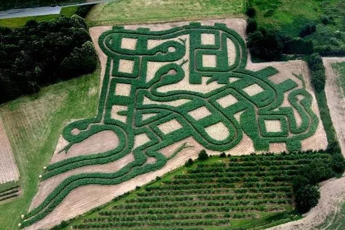 世界十大迷宫 每一个都复杂难辨，你看得懂吗插图9