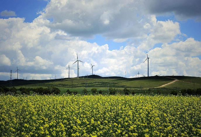 儿童旅游景点排行 三亚最受欢迎，重庆黑山谷上榜插图5