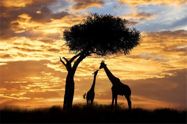 世界最美的十大落日 圣托里尼岛落日美到让人窒息,一辈子必去插图3