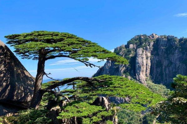 国内适合9月份出游去玩的景点 九寨沟人间天堂黄龙人间瑶池插图6