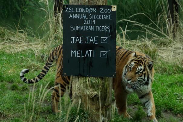 世界十个最大动物园 北京动物园第四，第一在德国插图9