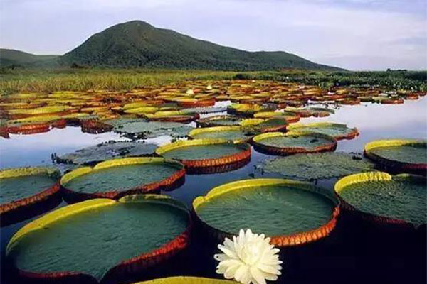 河北旅游必去十大景点 皇帝钦点的避暑山庄只排第三插图3