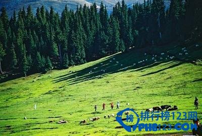 中国风景最美的地方排名 在不走走就没时间啦插图10