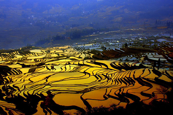 亚洲十大最美梯田:元阳梯田排第五，第一名在我国贵州境内插图4