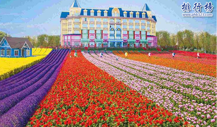 广州市内一日游好去处 盘点广州周末8个休闲好去处插图5