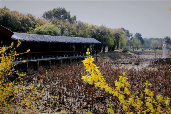 武汉免费拍照好看的地方排行榜 堤角公园上榜第一名副其实插图1