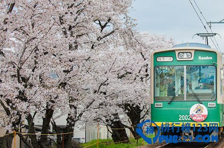 日本十大赏樱胜地排行榜插图8