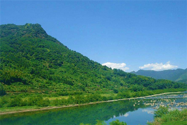 福建十大冬季旅游好去处：武夷山上榜，它的梅花最盛插图2