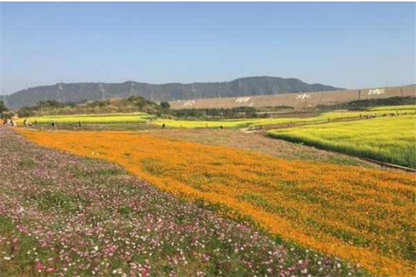 深圳十大风景名胜排行榜：世界之窗上榜，它被称为国内土版耳其插图8