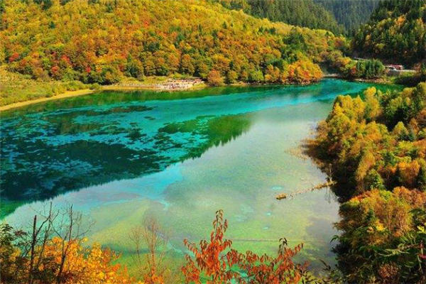 九寨沟景区十大主要景点：五花海上榜，第八是钙化瀑布插图6