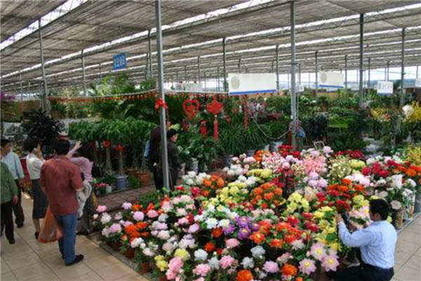 天津适合女生逛的好地方 集装箱生活馆KKV 奥特莱斯上榜插图5