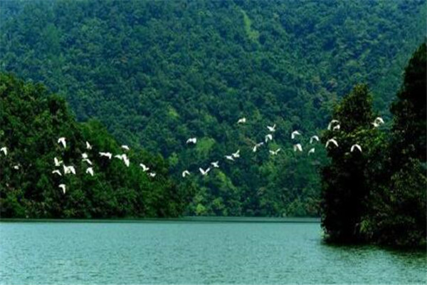 贺州最好玩的地方推荐 贺州好玩的地方排行榜插图5