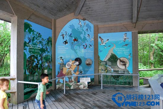 全球十大亲子旅游地排行榜插图6