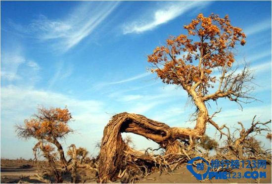 揭晓中国十大世外桃源 你无处可去嘛？插图7