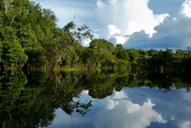 世界最美十大热带雨林 带你走进神秘的大自然插图