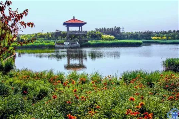 南通十大公园排行榜：滨江公园上榜，探趣绿廊第一插图1