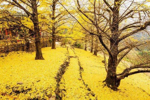 11-12月国内旅游最佳地排行榜 三亚登顶阿坝不能错过插图8