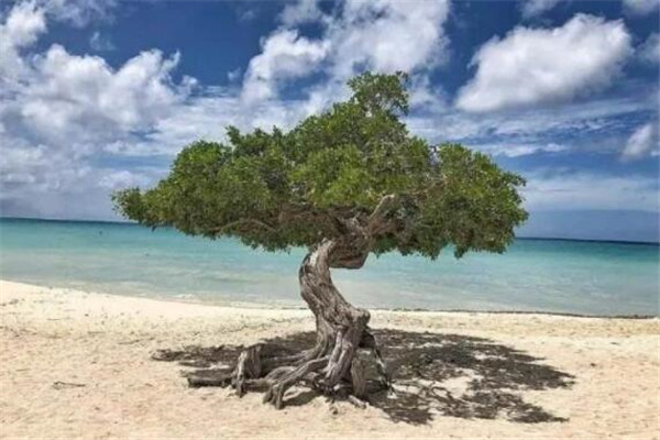 世界最惊艳的十大海滩 Lanikai海滩去几次都不会觉得腻插图