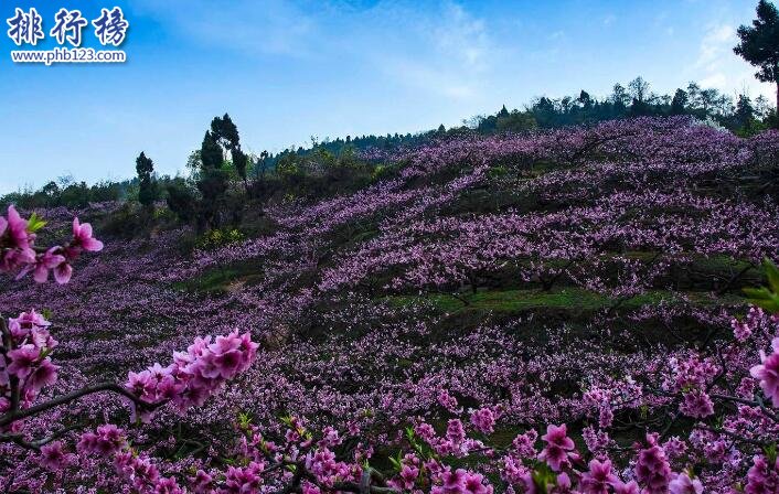 盘点全国3a景区排名前10,附全国3a景区名单2018插图4