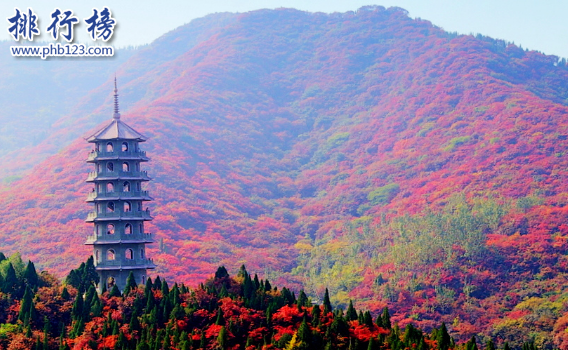 济南有什么好玩的地方？济南旅游必去景点排行榜插图2